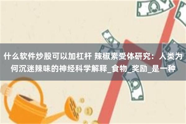 什么软件炒股可以加杠杆 辣椒素受体研究：人类为何沉迷辣味的神经科学解释_食物_奖励_是一种