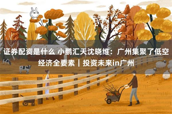 证券配资是什么 小鹏汇天沈晓维：广州集聚了低空经济全要素｜投资未来in广州