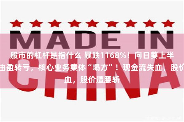 股市的杠杆是指什么 暴跌1168%！向日葵上半年净利由盈转亏，核心业务集体“塌方”！现金流失血，股价遭腰斩